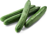 Netto Marken-Discount - Gurken Angebot im Prospekt Gurken bei Netto Marken-Discount im Prospekt "" für 0,59 €