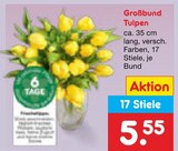 Großbund Tulpen Angebote bei Netto Marken-Discount Wolfsburg für 5,55 €