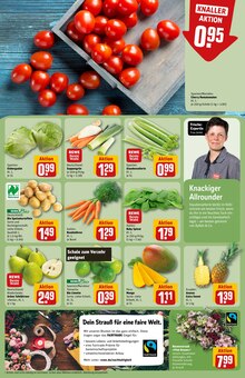 Salat im REWE Prospekt "Dein Markt" mit 32 Seiten (Nürnberg)