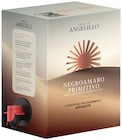 Negroamaro Primitivo Appassite Puglia IGP von Angelillo im aktuellen METRO Prospekt für 25,22 €