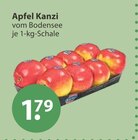 Aktuelles Apfel Kanzi Angebot bei V-Markt in Regensburg ab 1,79 €