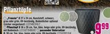 Pflanztopf im Angebot bei Hornbach in Paderborn Pflanztopf Angebote bei Hornbach Paderborn für 9,99 €
