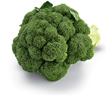 Broccoli im Angebot bei Netto Marken-Discount in Chemnitz Broccoli Angebote von HEIMAT bei Netto Marken-Discount Chemnitz für 1,29 €