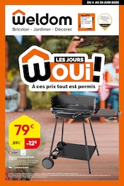 Promotion Auvent dans le prospectus Weldom, valable du 04/06/2025 au 24/06/2025 Promo Auvent dans le catalogue Weldom du moment à la page 1