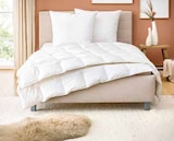 Aktuelle Kopfkissen Angebote bei Segmüller in Darmstadt Aktuelles Sommerbett oder 3-Kammer Kissen Angebot bei Segmüller in Darmstadt ab 29,99 €