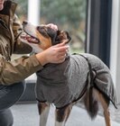 Aktuelle Bademantel Angebote bei Raiffeisenmarkt in Münster Aktuelles Hunde-Bademantel Angebot bei Raiffeisenmarkt in Münster ab 9,99 €