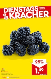 Netto Marken-Discount Brombeeren im Prospekt 