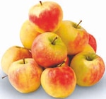 Deutsche Tafeläpfel Elstar im Angebot bei Markant Nordwest in Wunstorf Deutsche Tafeläpfel Elstar Angebote bei Markant Nordwest Wunstorf für 1,79 €