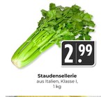 Staudensellerie Angebote bei Hieber Freiburg für 2,99 €