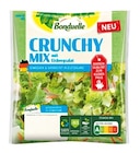 Insalata Mix oder Crunchy Mix Angebote von Bonduelle bei REWE Kamen für 1,49 €