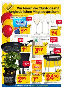 Blumentopf im Rusta Prospekt "Willkommen zu Hause in Schweden!" mit 18 Seiten (Essen)