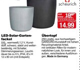 Übertopf Angebote von scheurich bei Herbrügger Bergkamen für 14,99 €