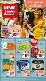REWE Prospekt "Dein Markt" für Oberndorf, 30 Seiten, 06.05.2024 - 11.05.2024
