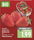 Erdbeeren von EDEKA Bio im aktuellen E center Prospekt