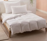 Aktuelle Kopfkissen Angebote bei Möbel Martin in Trier Aktuelles Kopfkissen Angebot bei Möbel Martin in Trier ab 9,99 €