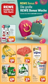 REWE Discounter Prospekt der aktuellen Woche mit 20 Seiten, gültig von 13.10.2025 bis 18.10.2025, in Heusenstamm und Umgebung Aktueller REWE Discounter Prospekt in Heusenstamm und Umgebung, "Dein Markt" mit 20 Seiten, 13.10.2025 - 18.10.2025