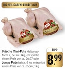 Frische Mini-Pute Angebote von AIA bei E center Böblingen für 26,97 €