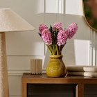 Bouquet de 5 jacinthes - FLEUR en promo chez Carrefour Calais à 4,29 €