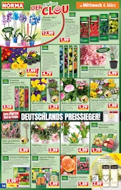 Orchidee im Norma Prospekt in Mannheim Aktueller Norma Prospekt mit Orchidee, "Mehr fürs Geld", Seite 14