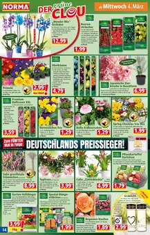 Kerzen im Norma Prospekt "Mehr fürs Geld" mit 20 Seiten (Mannheim)