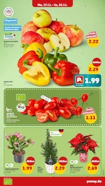 Zimmerpflanzen im Penny Prospekt in Regensburg Aktueller Penny Prospekt mit Zimmerpflanzen, "Wer günstig will, muss Penny.", Seite 5