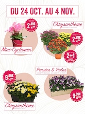 Chrysanthèmes Angebote im Prospekt "Jardinerie Poullain" von Jardinerie Poullain Chrysanthèmes Angebote im Prospekt "Jardinerie Poullain" von Jardinerie Poullain auf Seite 1