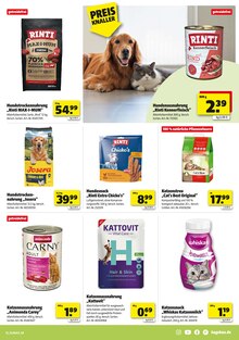 Katzenfutter im Hagebaumarkt Prospekt "VERSCHÖNERE MIT UNS DEINEN GARTEN" mit 16 Seiten (Oberhausen)