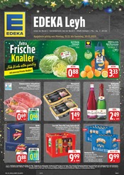 Aktueller EDEKA Supermarkt Prospekt in Oberelsbach und Umgebung, "Wir lieben Lebensmittel!" mit 28 Seiten, 15.12.2025 - 20.12.2025