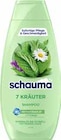 Shampoo bei E center im Dahn Prospekt für 1,49 €