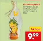 Orchideengesteck im Angebot bei Netto Marken-Discount in Augsburg Orchideengesteck Angebote bei Netto Marken-Discount Augsburg für 9,99 €
