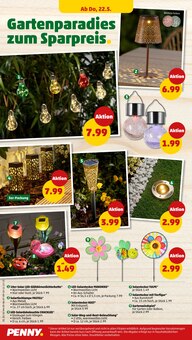 Tulpen im Penny Prospekt "Wer günstig will, muss Penny." mit 37 Seiten (Pforzheim)
