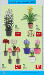Offre Aménagement Extérieur dans le catalogue Aldi du moment à la page 44
