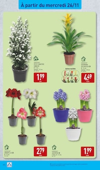 Promo Jardinage dans le catalogue Aldi du moment à la page 44