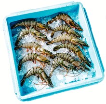 Lebensmittel im aktuellen Jawoll Prospekt Gambas für 7,99 € bei Jawoll im Angebot