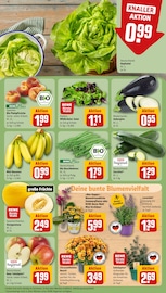 Ähnliche Angebote wie Saatgut im Prospekt "Dein Markt" auf Seite 9 von REWE in Seevetal