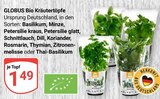 Basilikum bei GLOBUS im Prospekt "" für 1,49 €
