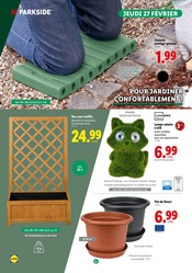 Plante Verte Angebote im Prospekt "SÉLECTION JARDIN" von Lidl auf Seite 6