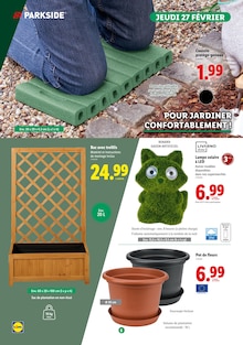 Promo Plantes dans le catalogue Lidl du moment à la page 6