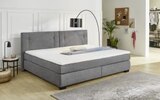 Boxspringbett Family, dunkelgrau, 240 x 200 cm im Angebot bei HARDECK in Dülmen Boxspringbett Family, dunkelgrau, 240 x 200 cm Angebote von Jockenhöfer bei HARDECK Dülmen für 1.399,00 €