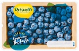 Heidelbeeren von Driscoll's im aktuellen Netto mit dem Scottie Prospekt