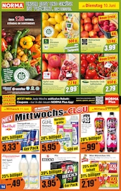 Äpfel im Norma Prospekt in Potsdam Aktueller Norma Prospekt mit Äpfel, "Mehr fürs Geld", Seite 15