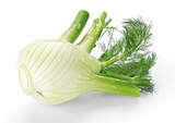 Fenchel Angebot in Baldham Fenchel im aktuellen Prospekt bei REWE in Baldham