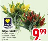 Aktuelles Tulpenstrauß XL Angebot bei EDEKA in Ingolstadt ab 9,99 €