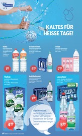 Aktueller Getränke Hoffmann Prospekt mit Gerolsteiner, "Aktuelle Angebote", Seite 2