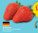 Erdbeeren bei nah&frisch im Laar Prospekt für 