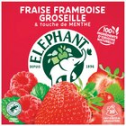 Infusion fraise framboise groseille & touche de menthe - ELEPHANT en promo chez Colruyt Infusion fraise framboise groseille & touche de menthe - ELEPHANT dans le catalogue Colruyt