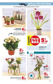 Plantes Angebote im Prospekt "Super U" von Super U Plantes Angebote im Prospekt "Super U" von Super U auf Seite 35