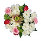 Aktuelles Blütenpracht Angebot bei Lidl in Wiesbaden ab 14,99 €