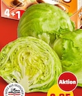 Deutscher Eisbergsalat im Angebot bei Penny in Wolfsburg Deutscher Eisbergsalat Angebote bei Penny Wolfsburg für 0,85 €