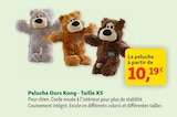 Peluche Ours à Maxi Zoo dans Préz-sous-Lafauche